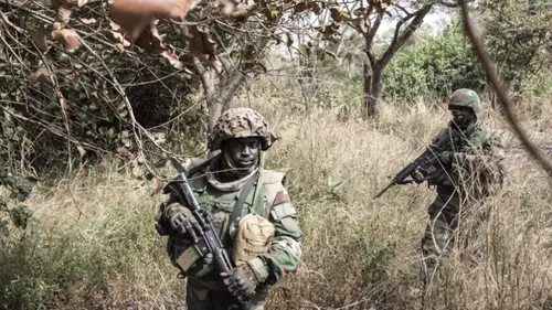 Opération en Casamance de l'armée sénégalaise : Les populations...